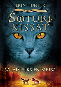 Cover for Salaisuuksien metsä