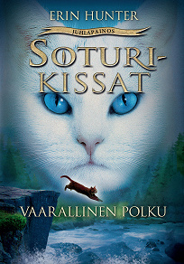 Cover for Vaarallinen polku