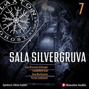 Omslagsbild för Sala silvergruva