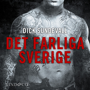 Cover for Det farliga Sverige