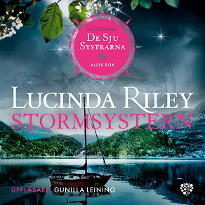 Cover for Stormsystern: Allys bok
