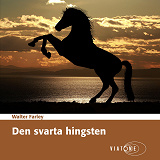 Cover for Den svarta hingsten