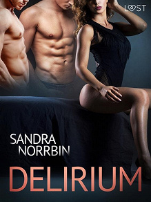 Omslagsbild för Delirium - eroottinen novelli