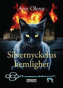 Cover for Silvernyckelns hemlighet