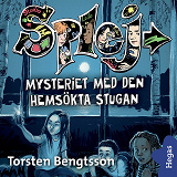 Omslagsbild för SPLEJ 10: Mysteriet med den hemsökta stugan