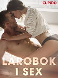 Cover for Lärobok i sex