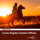 Cover for Svarta hingsten kommer tillbaka