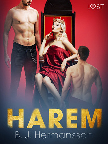 Omslagsbild för Harem - erotisk novell