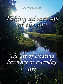 Omslagsbild för Taking advantage of the day: The art of creating harmony in everyday life