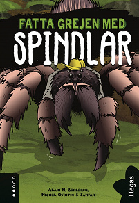 Omslagsbild för Fatta grejen med Spindlar