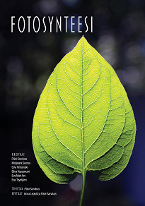 Omslagsbild för Fotosynteesi