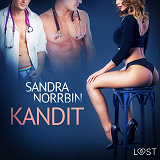 Omslagsbild för Kandit - eroottinen novelli
