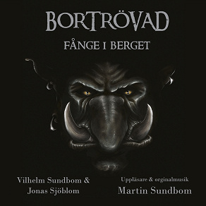 Cover for Fånge i berget