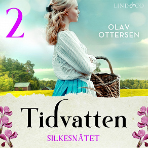 Cover for Silkesnätet: En släkthistoria