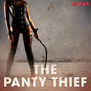 Omslagsbild för The Panty Thief