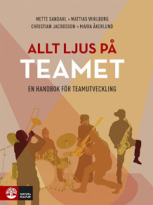 Omslagsbild för Allt ljus på teamet : En handbok för teamutveckling