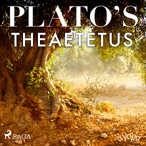 Cover for Plato’s Theaetetus