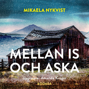Cover for Mellan is och aska