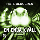 Cover for En enda kväll