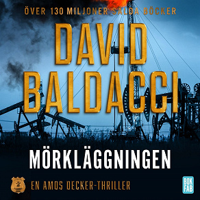 Cover for Mörkläggningen