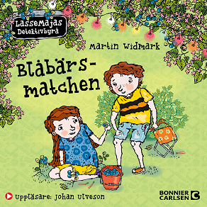 Cover for Berättelser från Valleby. Blåbärsmatchen