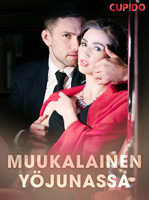 Omslagsbild för Muukalainen yöjunassa