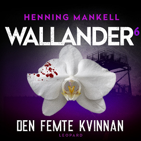 Cover for Den femte kvinnan