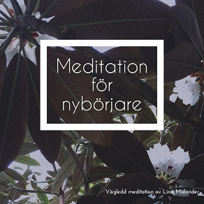 Omslagsbild för Meditation för nybörjare
