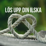 Cover for Lös upp din ilska
