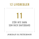 Omslagsbild för Regel 11: Stör inte barn som åker skateboard