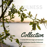 Omslagsbild för Mindfulness Collection - 7 veckor till mer lugn och harmoni 