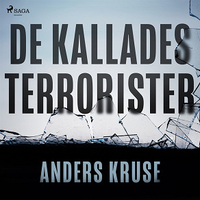 Omslagsbild för De kallades terrorister