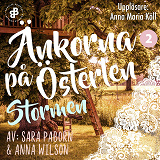 Omslagsbild för Änkorna på Österlen. Stormen