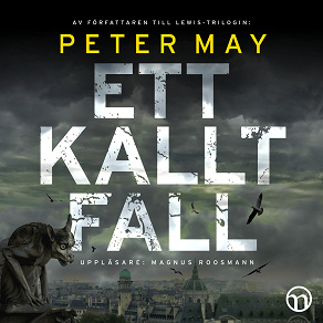 Cover for Ett kallt fall