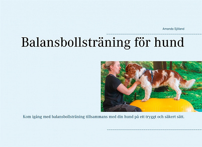 Omslagsbild för Balansbollsträning för hund