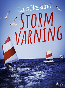 Omslagsbild för Stormvarning