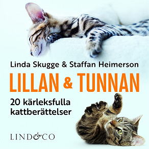 Omslagsbild för Lillan och Tunnan: 20 kärleksfulla kattberättelser