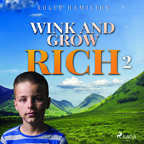 Omslagsbild för Wink and Grow Rich 2