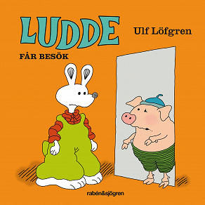 Omslagsbild för Ludde får besök