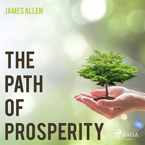 Omslagsbild för The Path Of Prosperity
