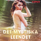 Omslagsbild för Det mystiska leendet