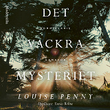 Cover for Det vackra mysteriet