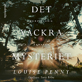 Omslagsbild för Det vackra mysteriet