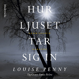Cover for Hur ljuset tar sig in