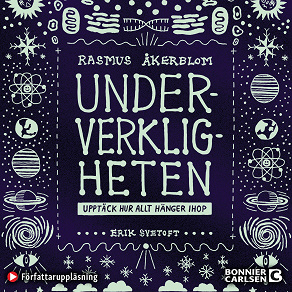 Cover for Underverkligheten : Upptäck hur allt hänger ihop