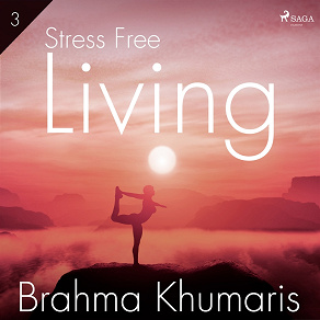 Omslagsbild för Stress Free Living 3