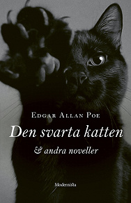 Cover for Den svarta katten och andra noveller