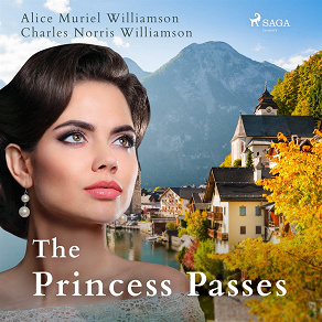 Omslagsbild för The Princess Passes
