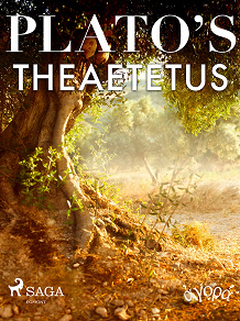 Omslagsbild för Plato’s Theaetetus