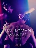 Omslagsbild för Handyman Wanted Part 2 - Erotic Short Story